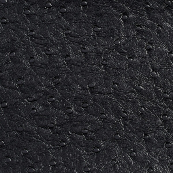 Charlotte Fabrics 7703 Onyx upholstery fabric swatch for sample-first furniture planning