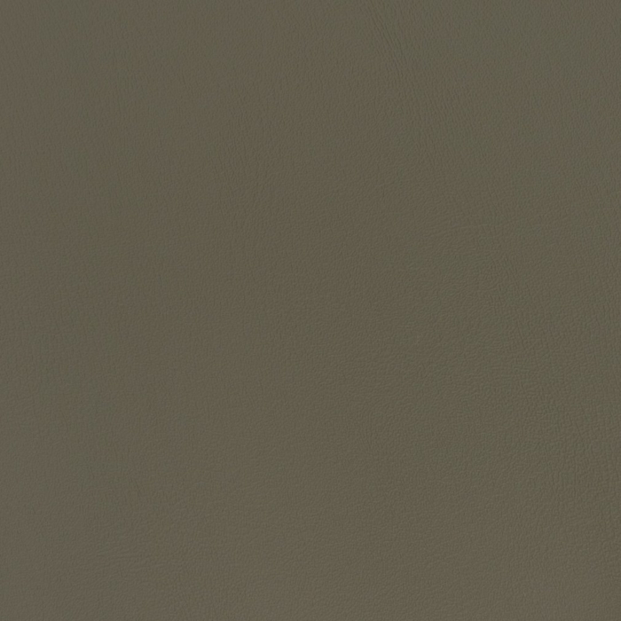 V361 Fog