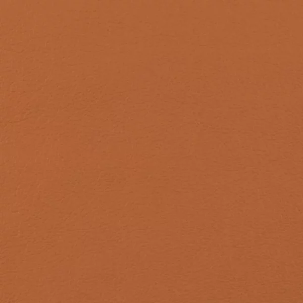 Charlotte Fabrics Fletcher Sienna upholstery fabric swatch for sample-first furniture planning