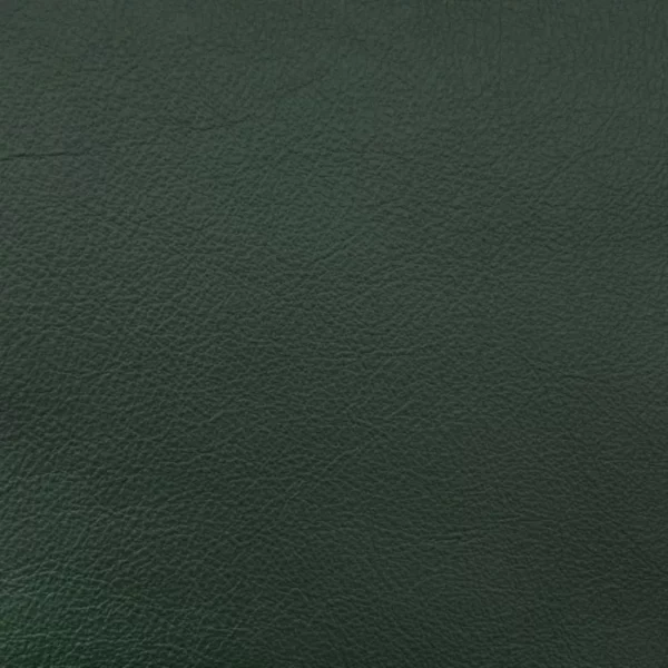 Charlotte Fabrics Milano Evergreen upholstery fabric swatch for sample-first furniture planning
