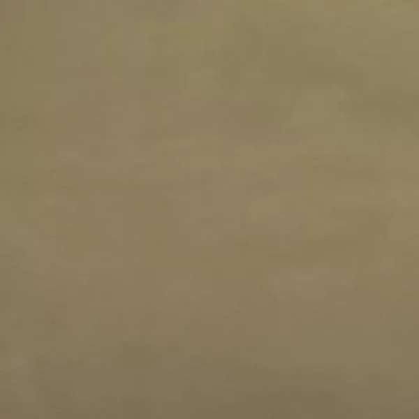 Charlotte Fabrics Wesley Moss upholstery fabric swatch for sample-first furniture planning