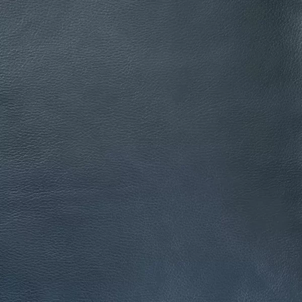 Charlotte Fabrics Henry Lake upholstery fabric swatch for sample-first furniture planning