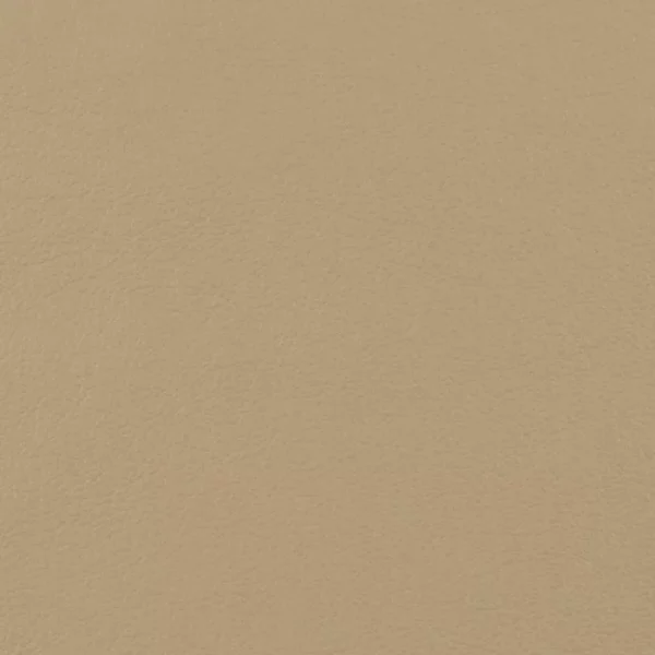 Charlotte Fabrics Fletcher Beige upholstery fabric swatch for sample-first furniture planning