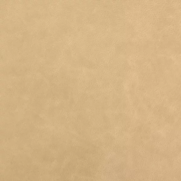 Charlotte Fabrics Gavin Latte upholstery fabric swatch for sample-first furniture planning