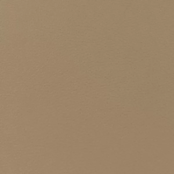 Charlotte Fabrics Oliver Mushroom upholstery fabric swatch for sample-first furniture planning