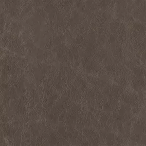 Cooper Stone upholstery fabric swatch
