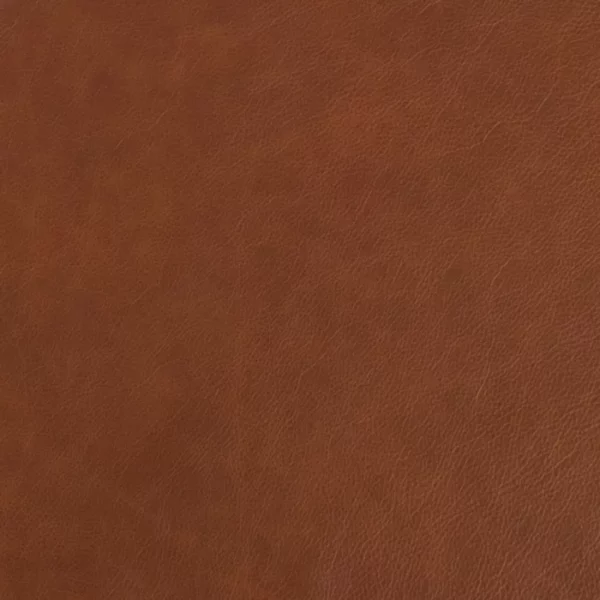 Charlotte Fabrics Gavin Cinnamon upholstery fabric swatch for sample-first furniture planning