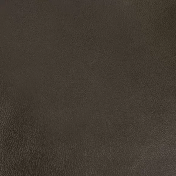 Charlotte Fabrics Henry Java upholstery fabric swatch for sample-first furniture planning