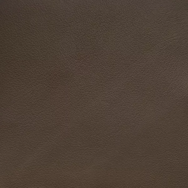 Charlotte Fabrics Milano Carob upholstery fabric swatch for sample-first furniture planning