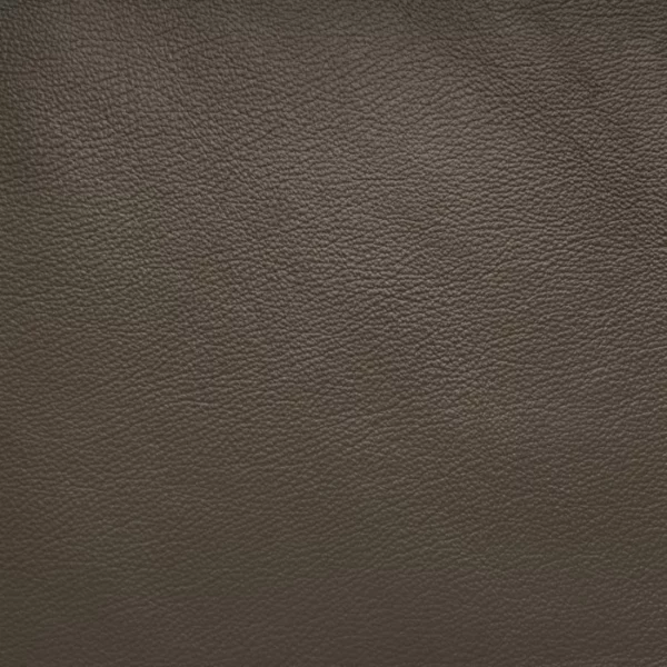 Charlotte Fabrics Milano Granite upholstery fabric swatch for sample-first furniture planning