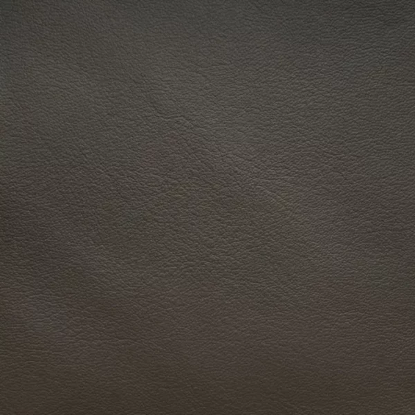 Charlotte Fabrics Milano Seal upholstery fabric swatch for sample-first furniture planning