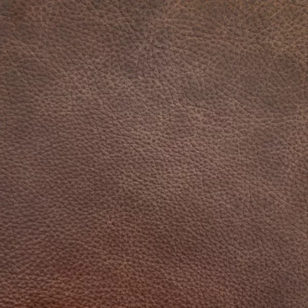 Charlotte Fabrics Tuscany Bark upholstery fabric swatch for sample-first furniture planning