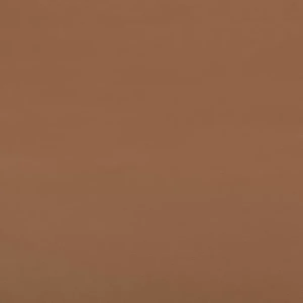 Charlotte Fabrics Wesley Caramel upholstery fabric swatch for sample-first furniture planning