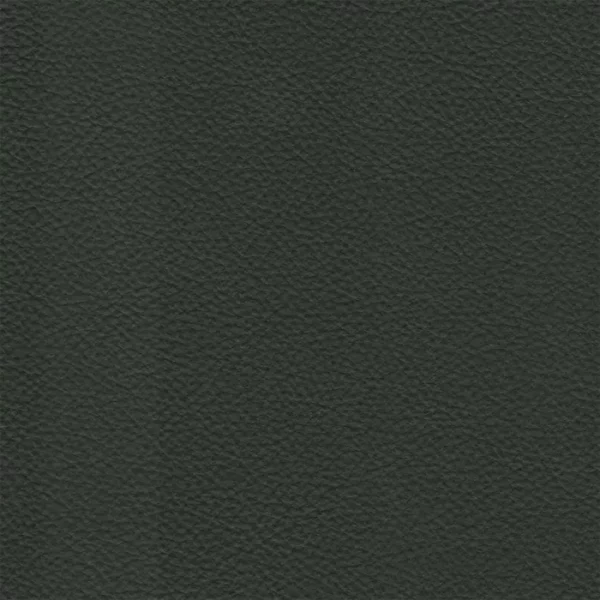 Charlotte Fabrics Gilbert Black upholstery fabric swatch for sample-first furniture planning