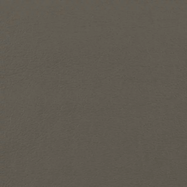 Charlotte Fabrics Fletcher Graphite upholstery fabric swatch for sample-first furniture planning