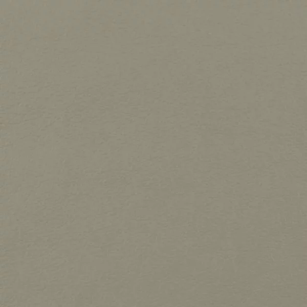 Charlotte Fabrics Fletcher Grey upholstery fabric swatch for sample-first furniture planning