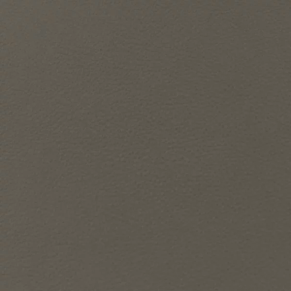 Charlotte Fabrics Oliver Pewter upholstery fabric swatch for sample-first furniture planning