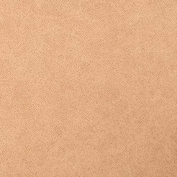 Charlotte Fabrics Gavin Desert upholstery fabric swatch for sample-first furniture planning