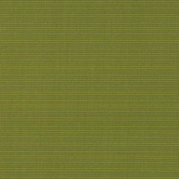 D2844 Grass