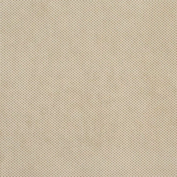 Charlotte Fabrics D609 Bisque Texture upholstery fabric swatch for sample-first furniture planning