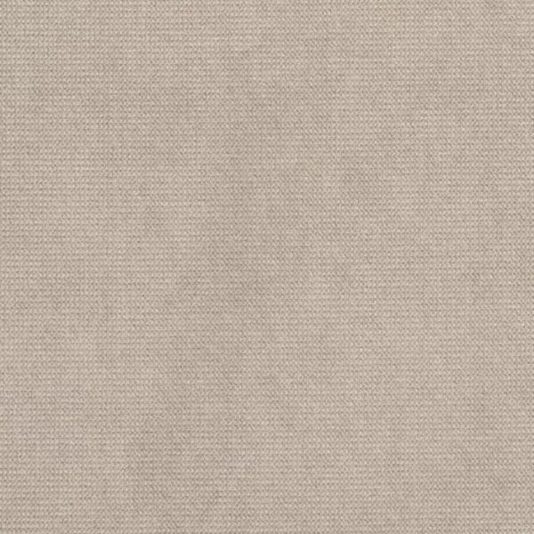 Charlotte Fabrics D617 Dove upholstery fabric swatch for sample-first furniture planning