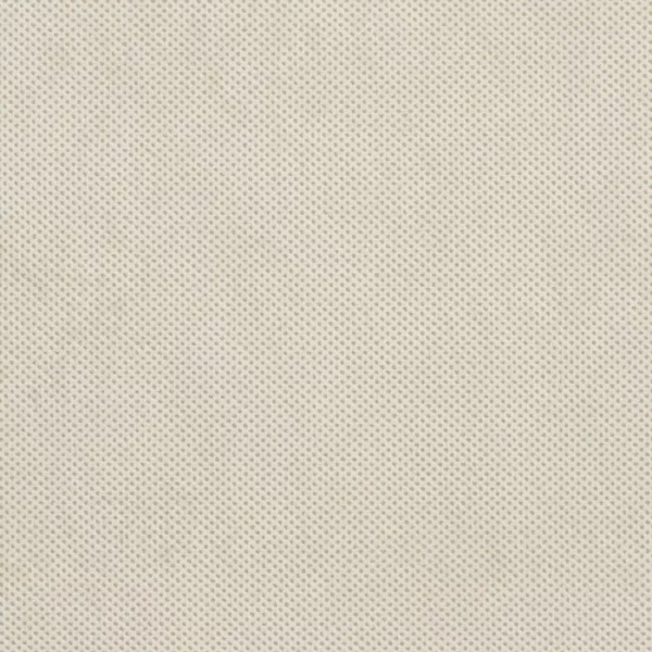 Charlotte Fabrics D614 Natural Texture upholstery fabric swatch for sample-first furniture planning