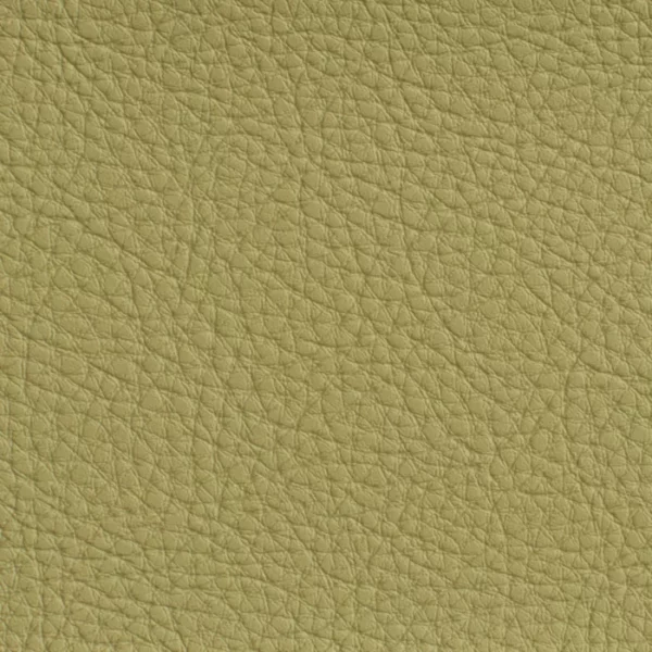 7181 Pesto