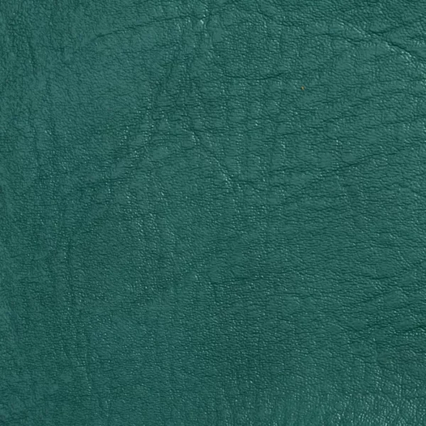 Charlotte Fabrics 7748 Cedar upholstery fabric swatch for sample-first furniture planning