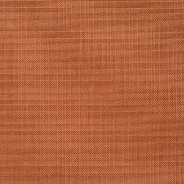 D3732 Nutmeg