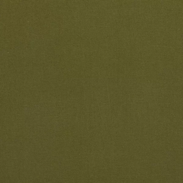 Charlotte Fabrics 3886 Moss upholstery fabric swatch for sample-first furniture planning