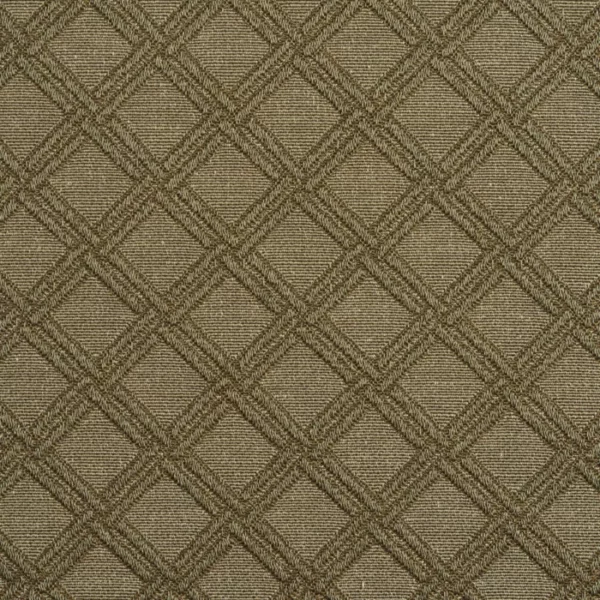 Charlotte Fabrics 5551 Sage/Diamond upholstery fabric swatch for sample-first furniture planning