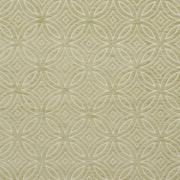 20810-06