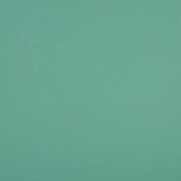 Charlotte Fabrics 10104-01 upholstery fabric swatch for sample-first furniture planning