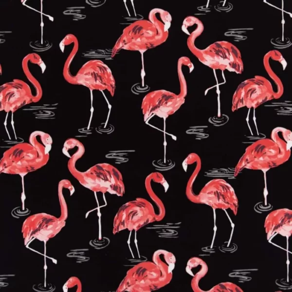 D2730 Flamingo
