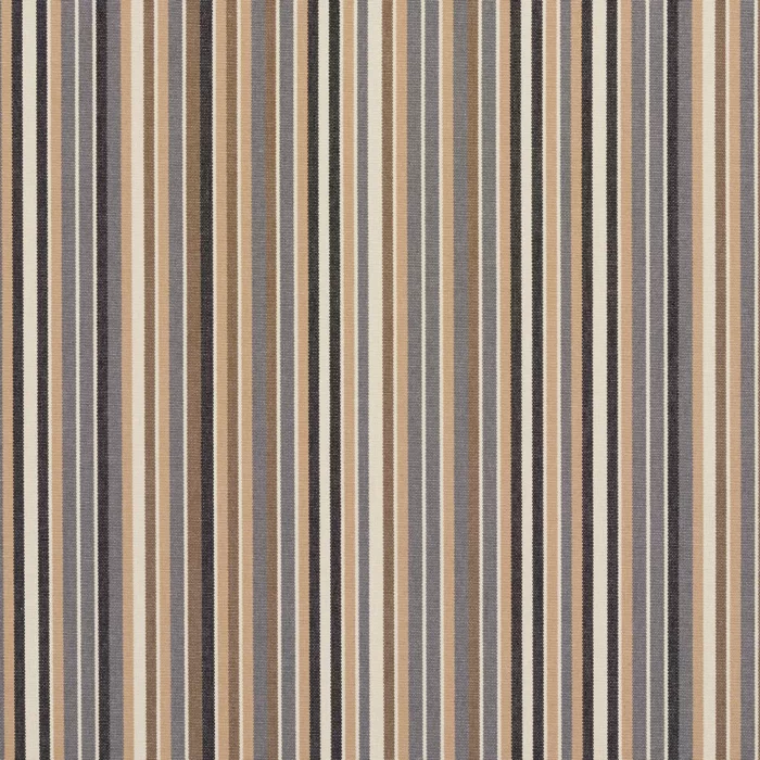 9555 Earth