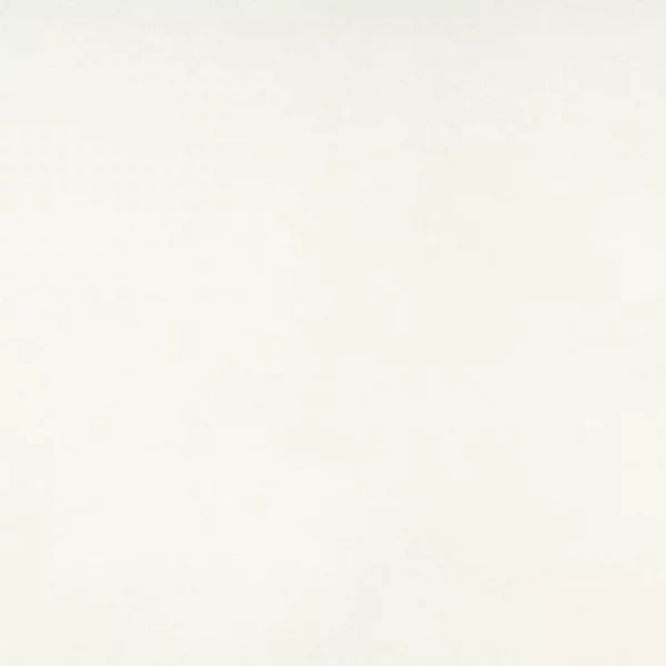 Charlotte Fabrics 3856 White upholstery fabric swatch for sample-first furniture planning