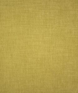 Braxton upholstery fabric swatch