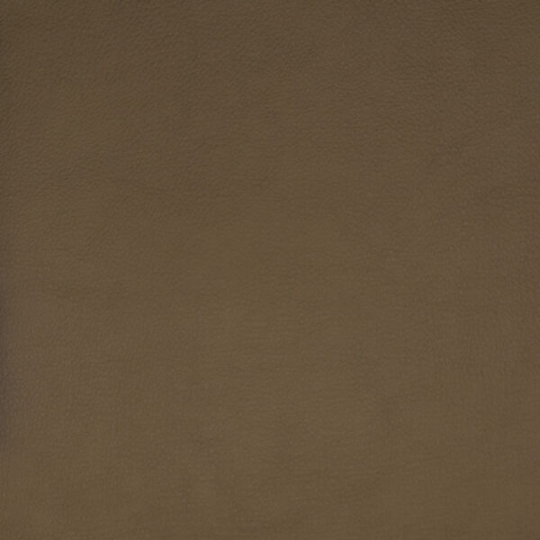 Greenhouse Fabrics F1859 Beige upholstery fabric swatch for sample-first furniture planning