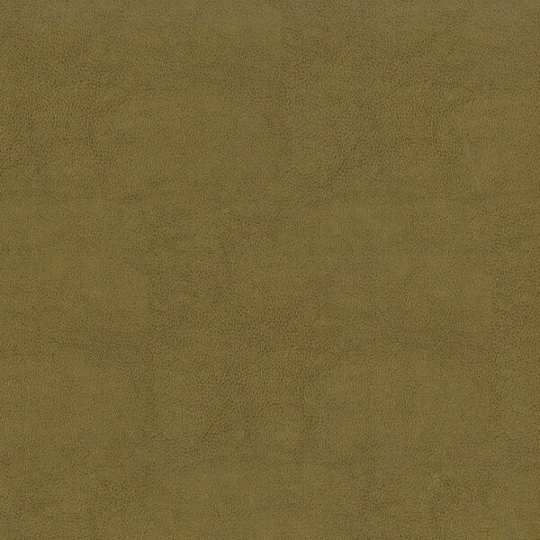 Greenhouse Fabrics F2872 Tan upholstery fabric swatch for sample-first furniture planning