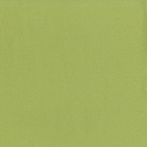 Green upholstery fabric