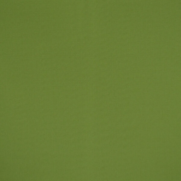 Green upholstery fabric
