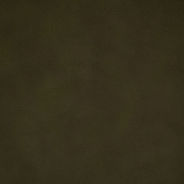 Green upholstery fabric