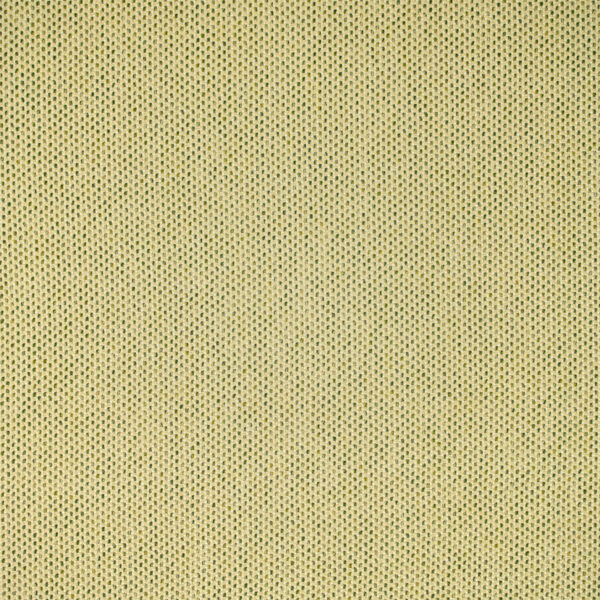 Green upholstery fabric