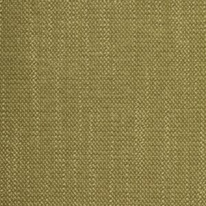 Gemini 78 Sprout upholstery fabric swatch
