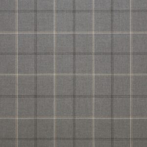 Paradigm Stone 40484-0001 upholstery fabric swatch