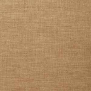 Passport 69 Raffia upholstery fabric swatch