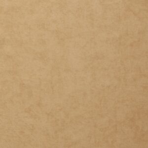 Snapshot 96 Wheat upholstery fabric swatch