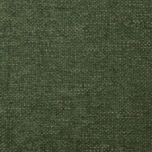 Zion 25 Clover upholstery fabric swatch