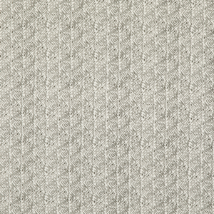 Baker Lifestyle Fiesta Laberinto - Charcoal upholstery fabric swatch