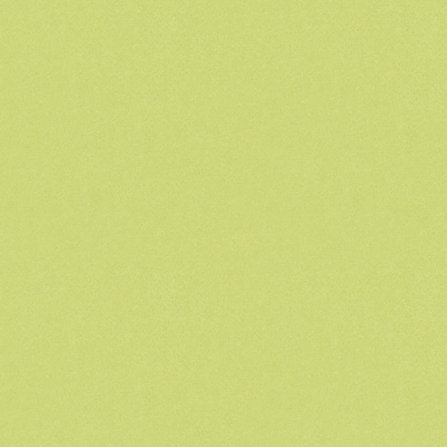 BRUNSCHWIG & FILS AUTUN MOHAIR VELVET - CELERY BR-89778.404.0